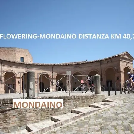 Flowering * Verucchio