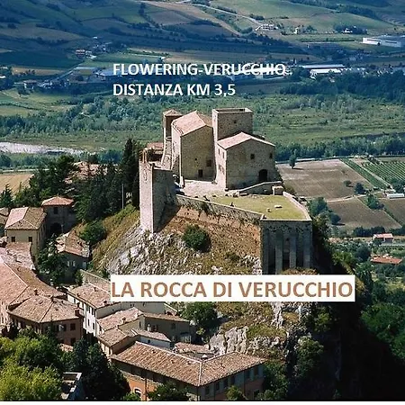 Vakantiehuis Flowering Verucchio