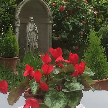 Vakantiehuis Flowering *