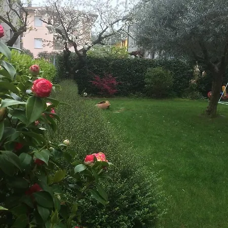 Flowering Verucchio