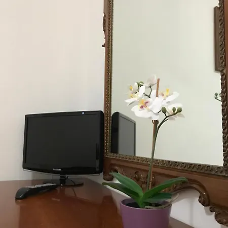 Vakantiehuis Flowering *